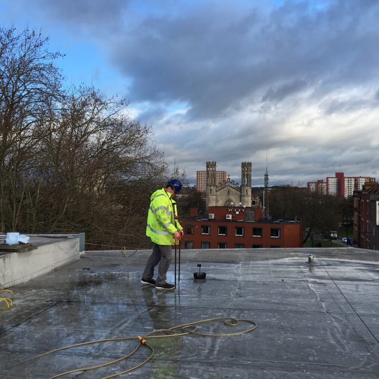 Roof Leaks